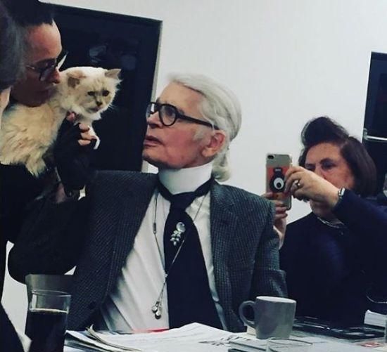  『Choupette』时尚教父“老佛爷”生前养的这只猫，有多幸运就有多难过