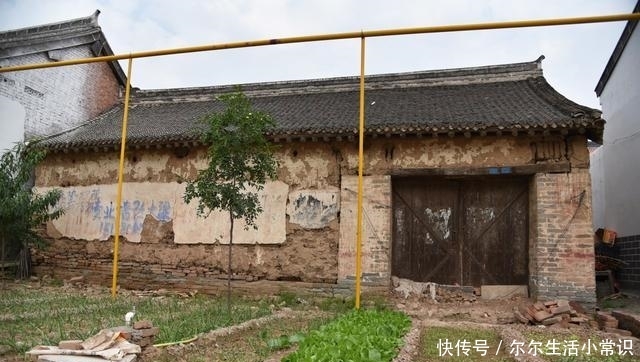  「玉米」国庆假期里的河南乡村，柿子挂满枝头，街道被玉米占领