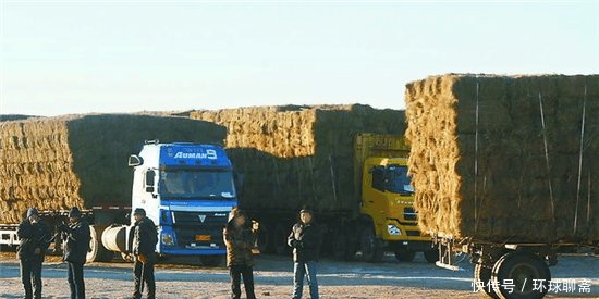  #差距#外蒙古与内蒙古牧民冬季生活的对比, 差距太大