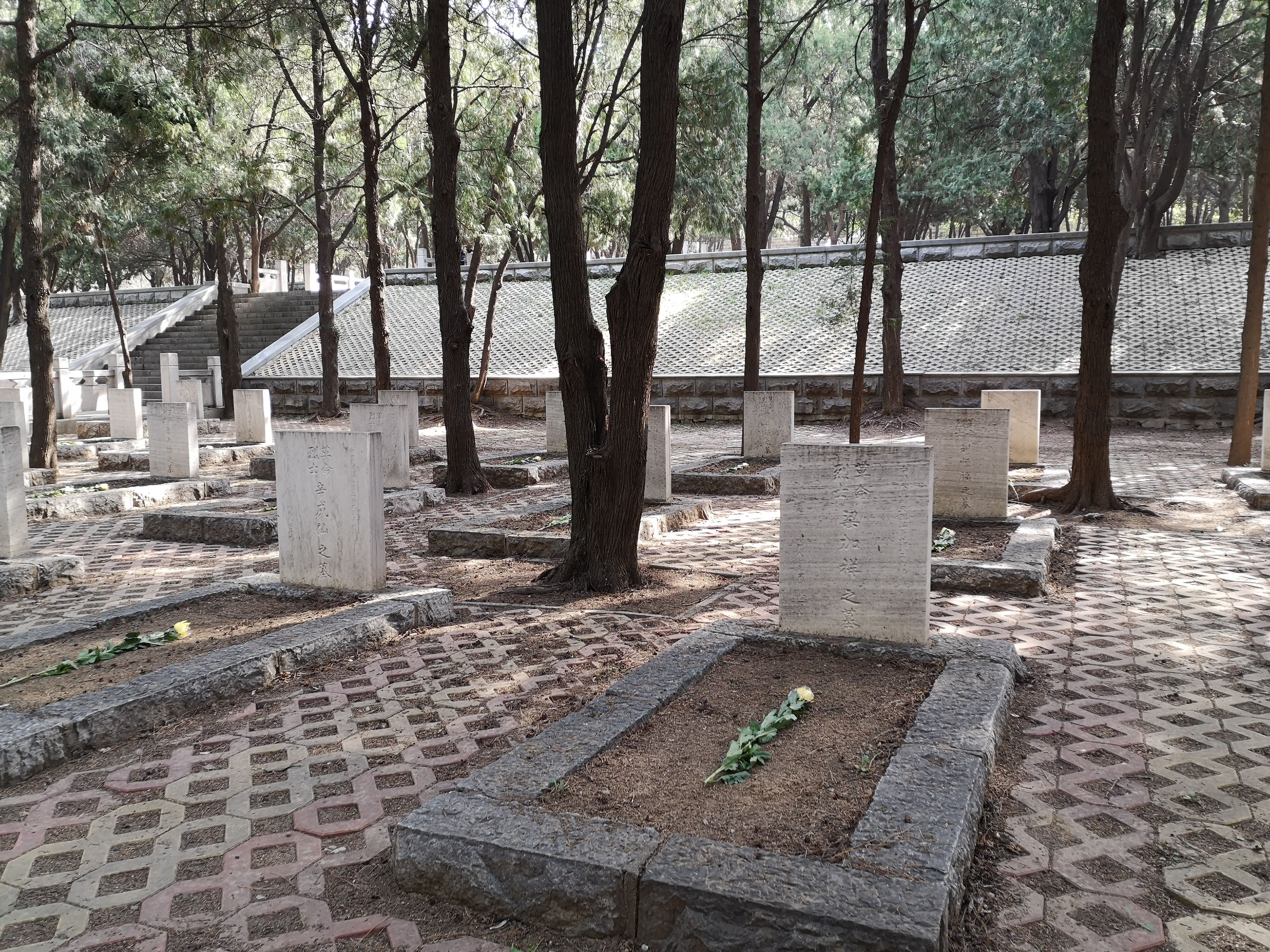  烈士墓：清明期间暂停现场祭扫，山东多地举行“代祭扫”活动致敬英烈