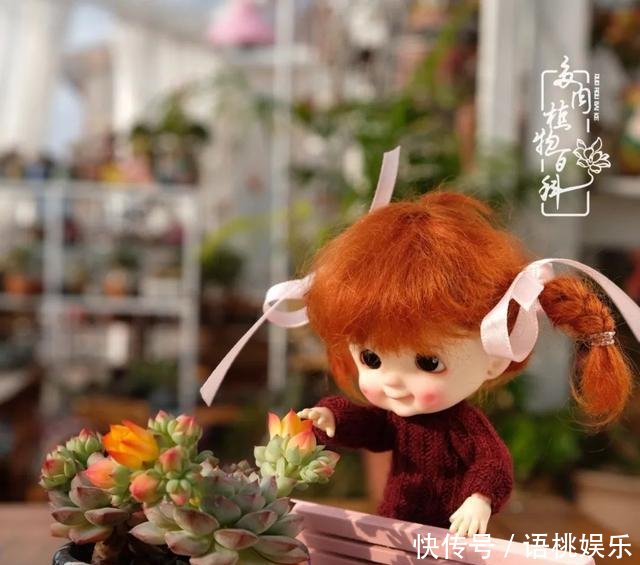  #喜欢#一粥一饭填饱肚子，一屋一花神仙日子！生命不止，玩趣不停！