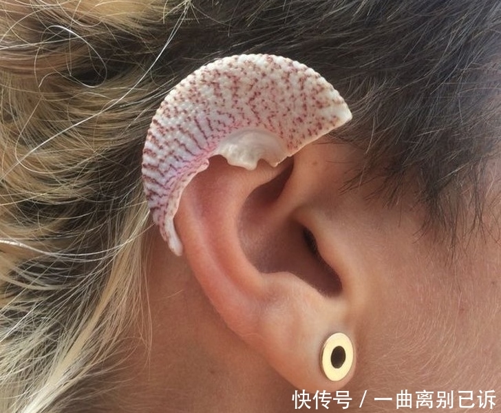 强迫症都挑不出毛病的26张照片 展现了真正的完美