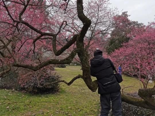  影像|战“疫”中的杭州，你没见过的影像