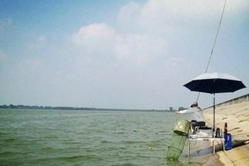 在陌生水库钓鱼，钓点选择的4个要点