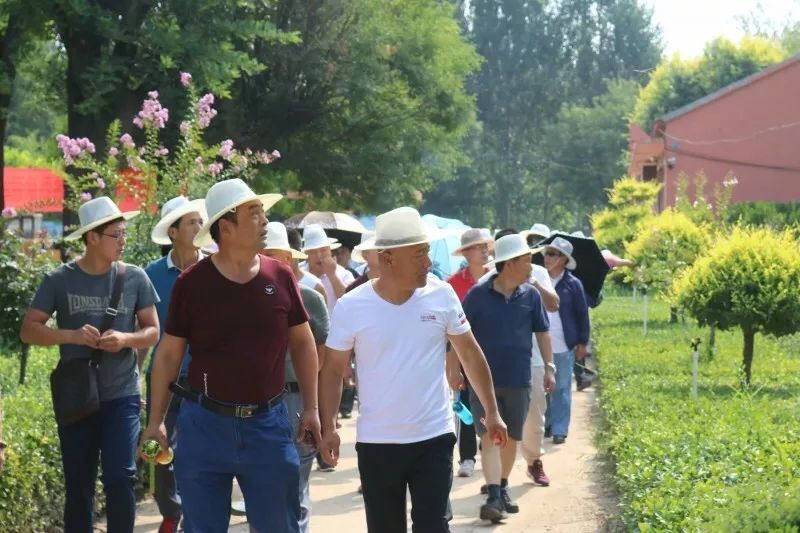 庭院深深，中式庭院 · 怡然自得