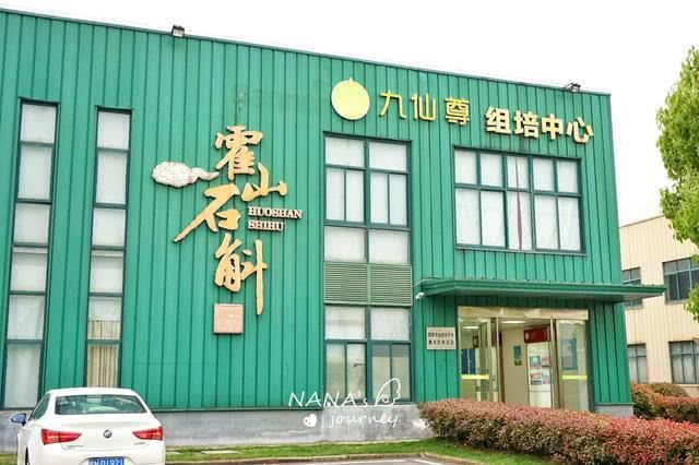  「仙草」“九大仙草”之首的霍斛，不仅健体，还拥有非物质文化遗产技艺