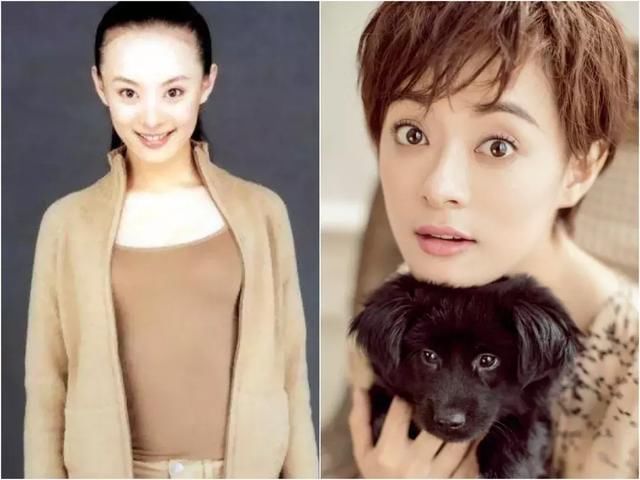 什么发型那么神奇，让郭采洁、刘诗诗美出新高度！