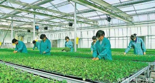  十年：农村这6样东西，10年后将会越来值钱，你认为呢？