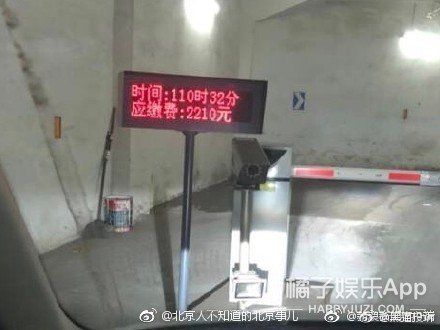 谢楠自曝怀二胎 萧敬腾发文回应晕倒传闻