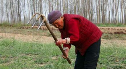 2019年农村养老新政策了，这3件事要趁早办，否则的话吃大亏