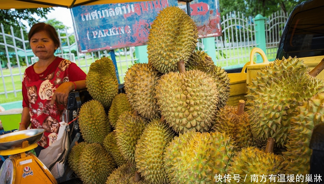  「泰国旅游」按了就得买？泰国水果摊蛮横标语惹众怒，如今榴莲滞销自尝苦果