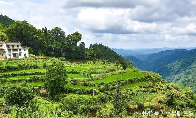  「脱下」农村蟾蜍会脱下一层蟾衣，据说比黄金还贵，为何在野外