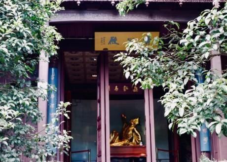 杭州最“低调”的一个景点，为何排队的本地人比游客还要多？