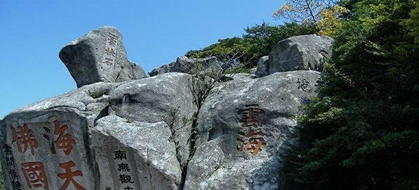 我国有棵树，全球仅此一棵，外国人想看，都还得来中国