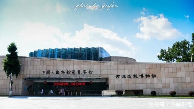  #恐龙蛋化石#世界上恐龙蛋最多的地方竟然就在广东，密密麻麻，