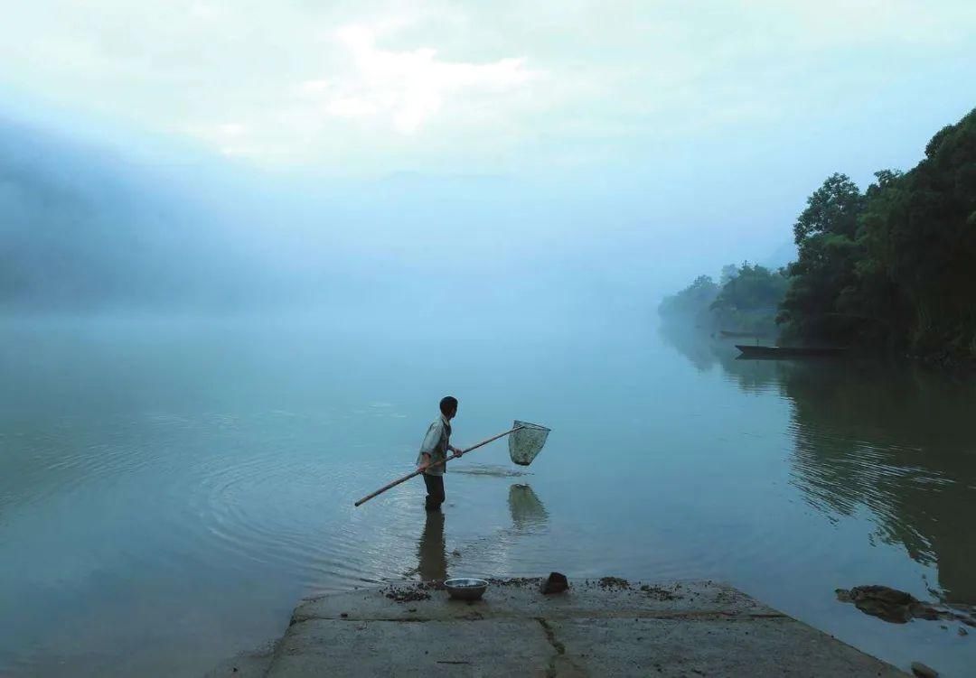  『荠菜』又是一年春食时！春天里的江南人，是如何把“鲜嫩”吃得出神入化的？