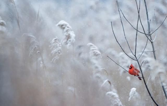 就在今晚！油价又涨！一箱油得多花……