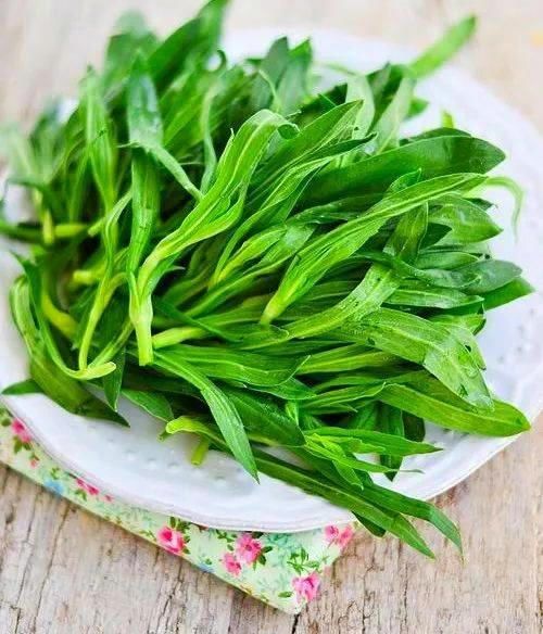  『养心』“养心菜”株形不高，价值高营养丰富，阳台种一点长得快