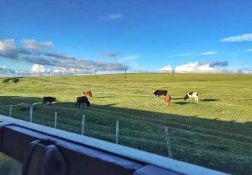 国内最霸气火车，一张票五千六，只在北京卖，网上和火车站都不卖