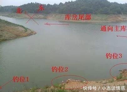 『永远』夏天钓鱼,这几个小细节不改过来,永远别想钓大鱼
