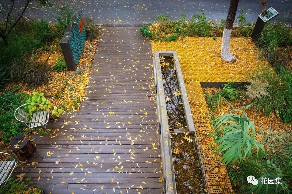 你的花园会呼吸吗？