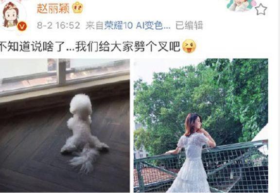 赵丽颖:我不是专门放马的!昔日赵小刀再现江湖,怒回怀孕传闻!