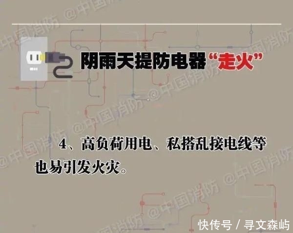  [电线短路]4000头猪一夜毙命 网友：心疼