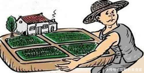 户口不在农村，宅基地会不会被收回？有必要回农村宅基地建房吗？