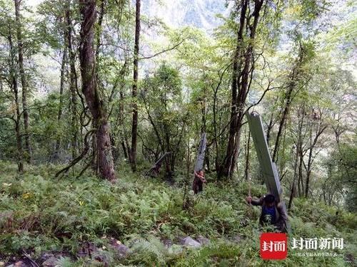 走访200个森林基地 他把“太空舱”搬进大熊猫保护区