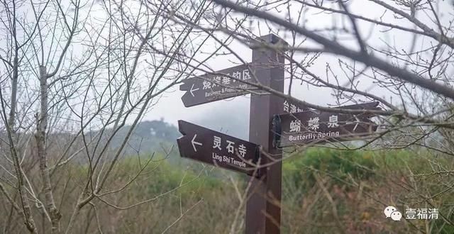 福清樱花太美！春节不用去日本在这里就可以看见大片樱花园~