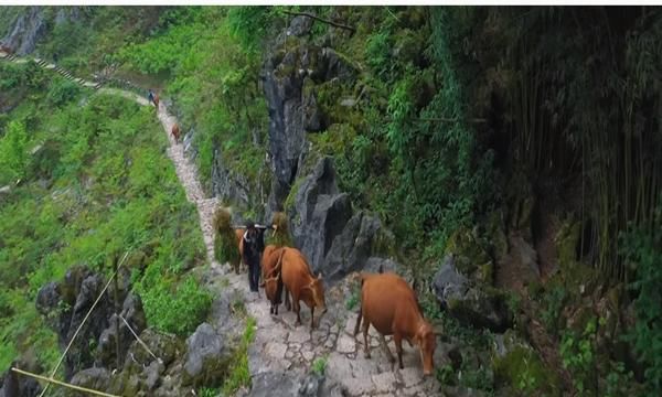 中国最“隐世”村庄，18户人家居住在洞中，亚洲最后穴居部落
