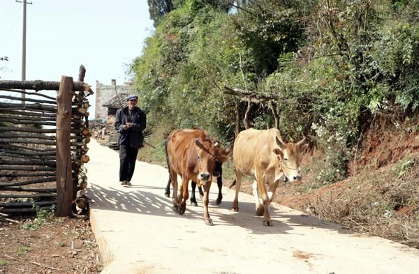 辟谣：公安部5月带枪整顿，农民存款2万挨个查！农民朋友，怕不？