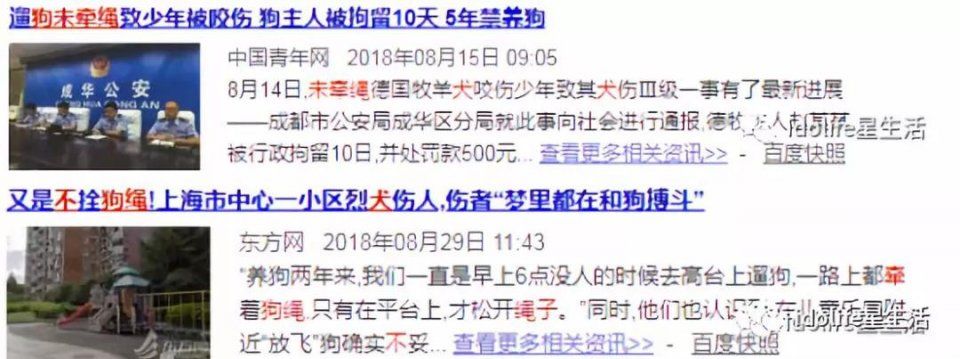 百万粉丝女网红遛狗不栓绳，还殴打8个月孕妇，真的好可怕!