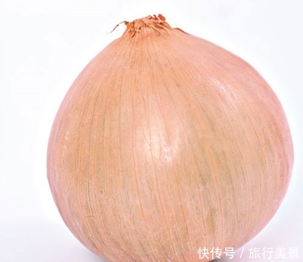  【杜绝蚤患】惊蛰至　天然防虫5大妙法