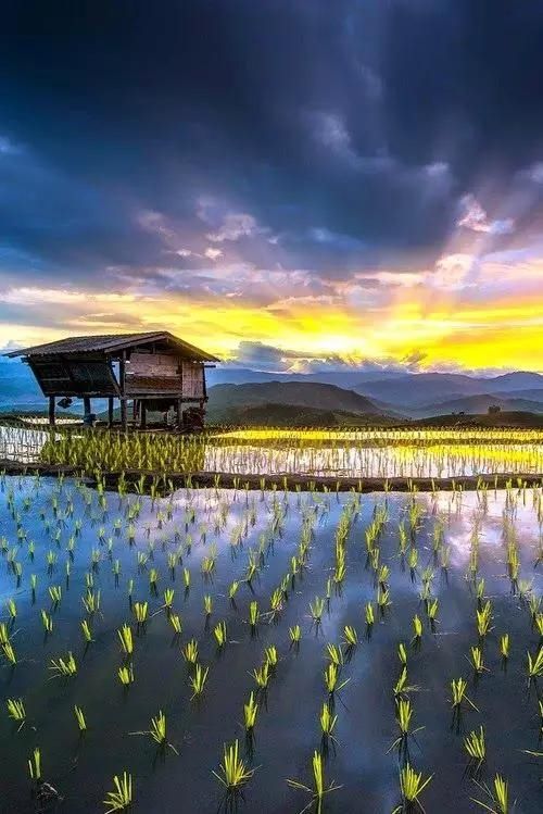  #盘点#盘点一组照片，来欣赏下美丽的越南风景吧！