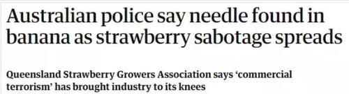 香蕉也发现针头！事态严重升级，疑似有人报复袭击！澳政府悬赏！