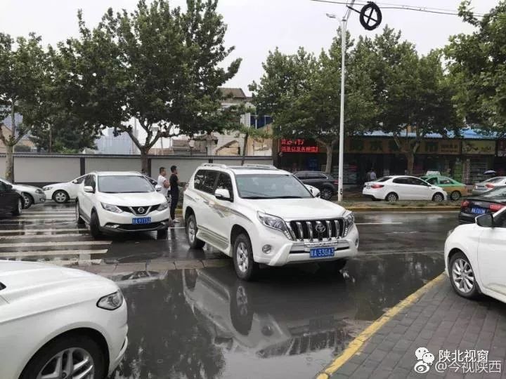 陕西蒲城多优教育PK蒲城县人民政府多个执法