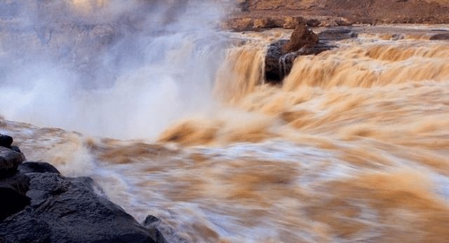 黄河水那么浑浊,为什么里面的鲤鱼却很肥美涨知识了