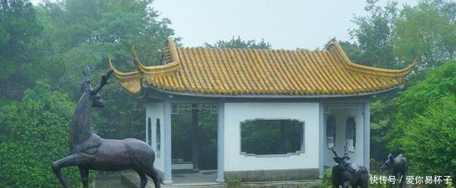 樱花:江南的美当然不分四季,可我却钟爱江南的春天,爱她的恬淡隽永