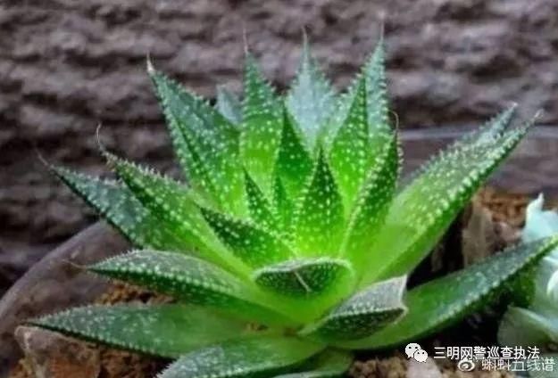 净网2018 微博辟谣 2018年7月“科学”流言榜”