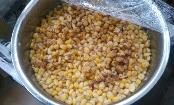  春天：这是春天野生钓鱼的好诱饵。小鱼不要碰它。它是专门用来钓大鱼的。这是一个酒吧间！