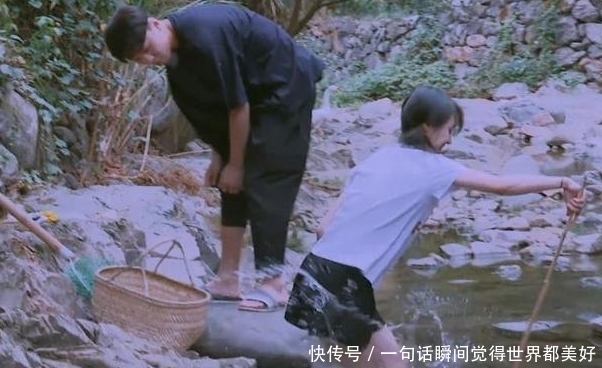 感觉郑爽也不爱张恒