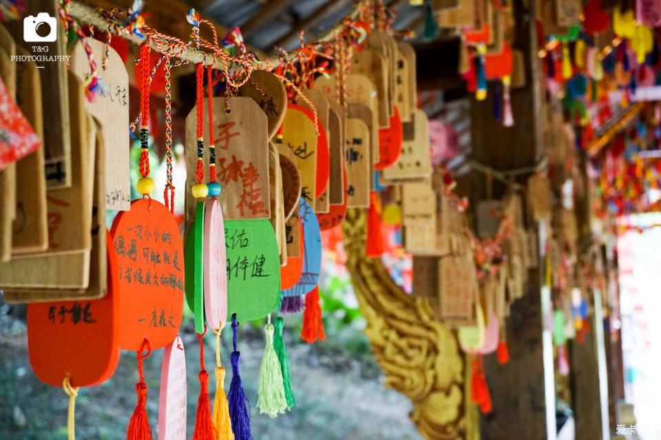  西双版纳@绿水青山就是金山银山，去西双版纳过泼水节！