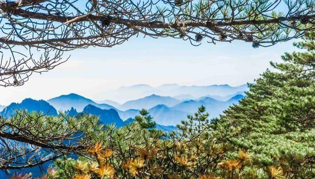 人人都说黄山美，你知道美在哪里吗？快来感受与众不同的五绝奇景