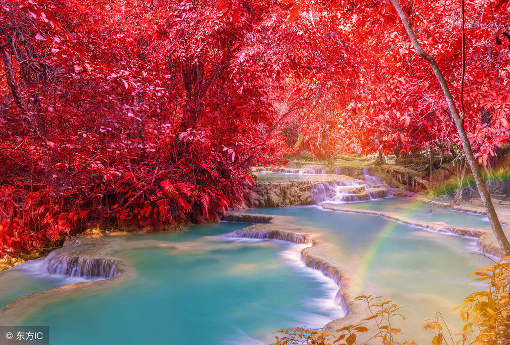 如此美妙的秋景，你若在，该有多好