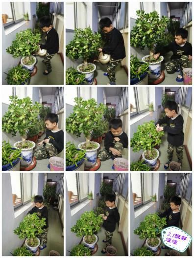  「雷锋叔叔」时光不语静待花开