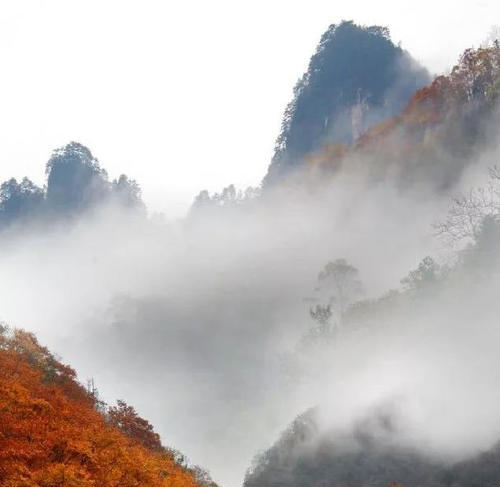 仍未公开的绝对秘境!中国版的“黄石公园”,亚洲最大的冰瀑--