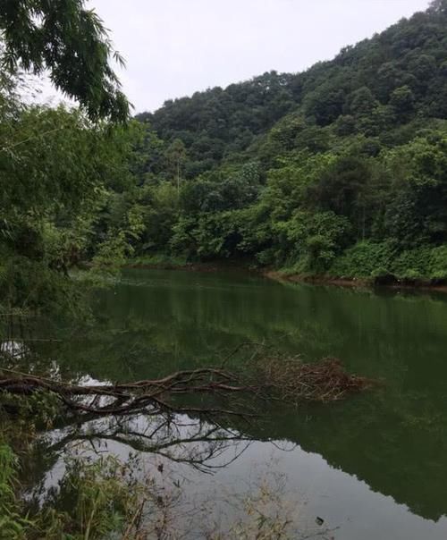  【调整】为啥选经典钓位也会空军？都是这3个因素在作怪，可别胡乱调整