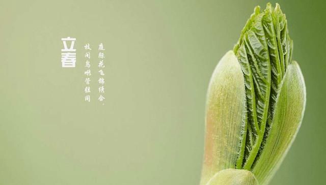  难逢双立春|20年将至，20年为鼠年双春年，鼠年双春年好不好？看