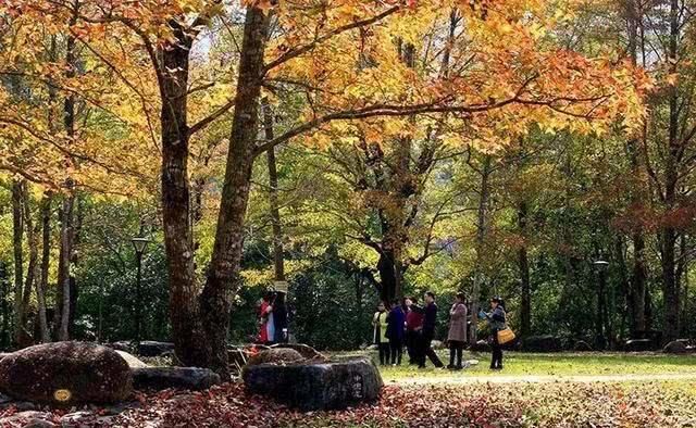 广西周末自驾游路线，一路惊喜，一路美景，体验夏天最美的样子！